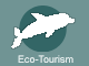 Florida Eco-Tourism